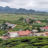 Đất nền Mộc Châu sẵn thổ cư, giá chưa đến 1 triệu/m2. Vị trí gần các dự án lớn của Vin